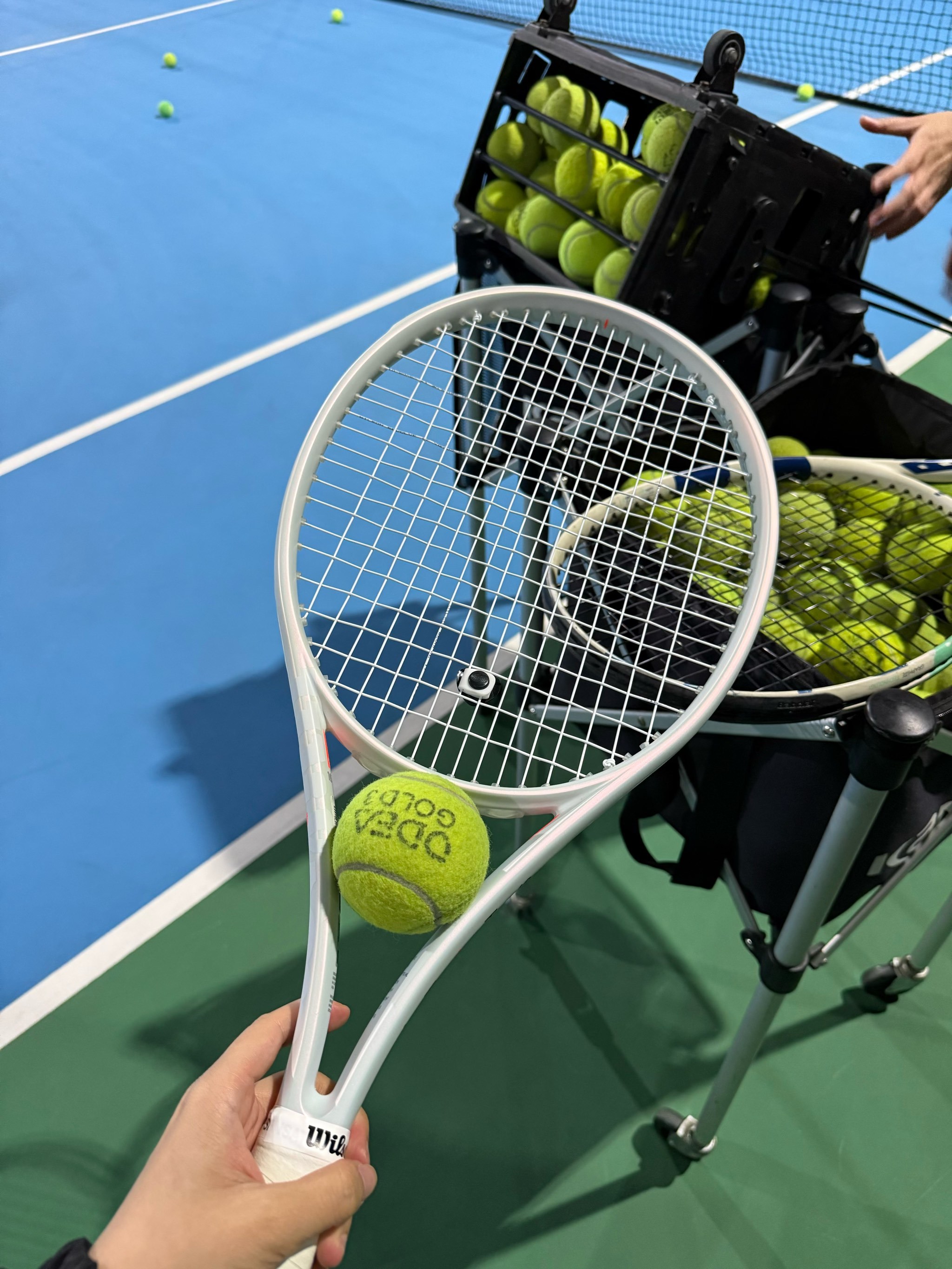 在赛季关键 在赛季关键