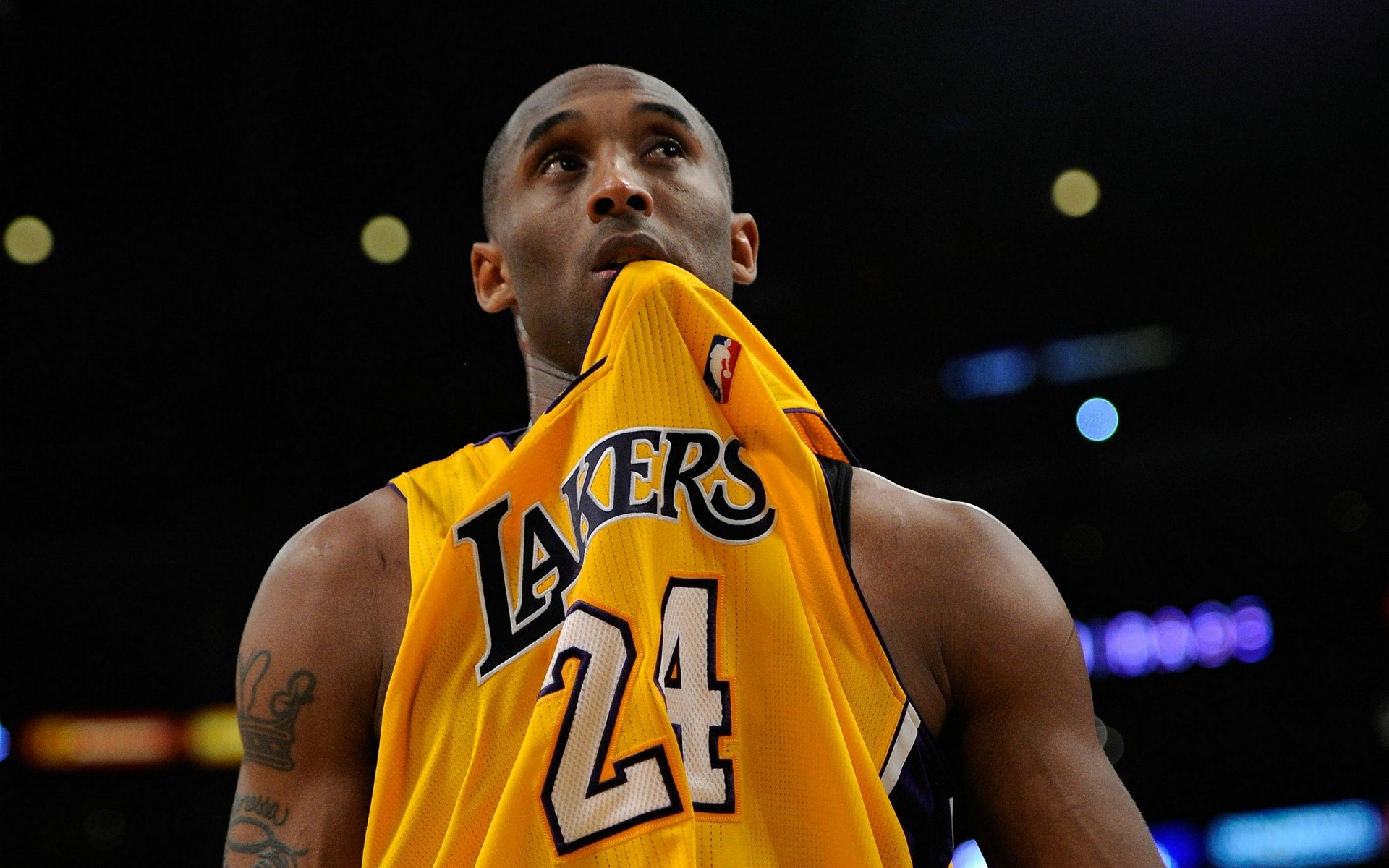 自身的努力 自身的努力