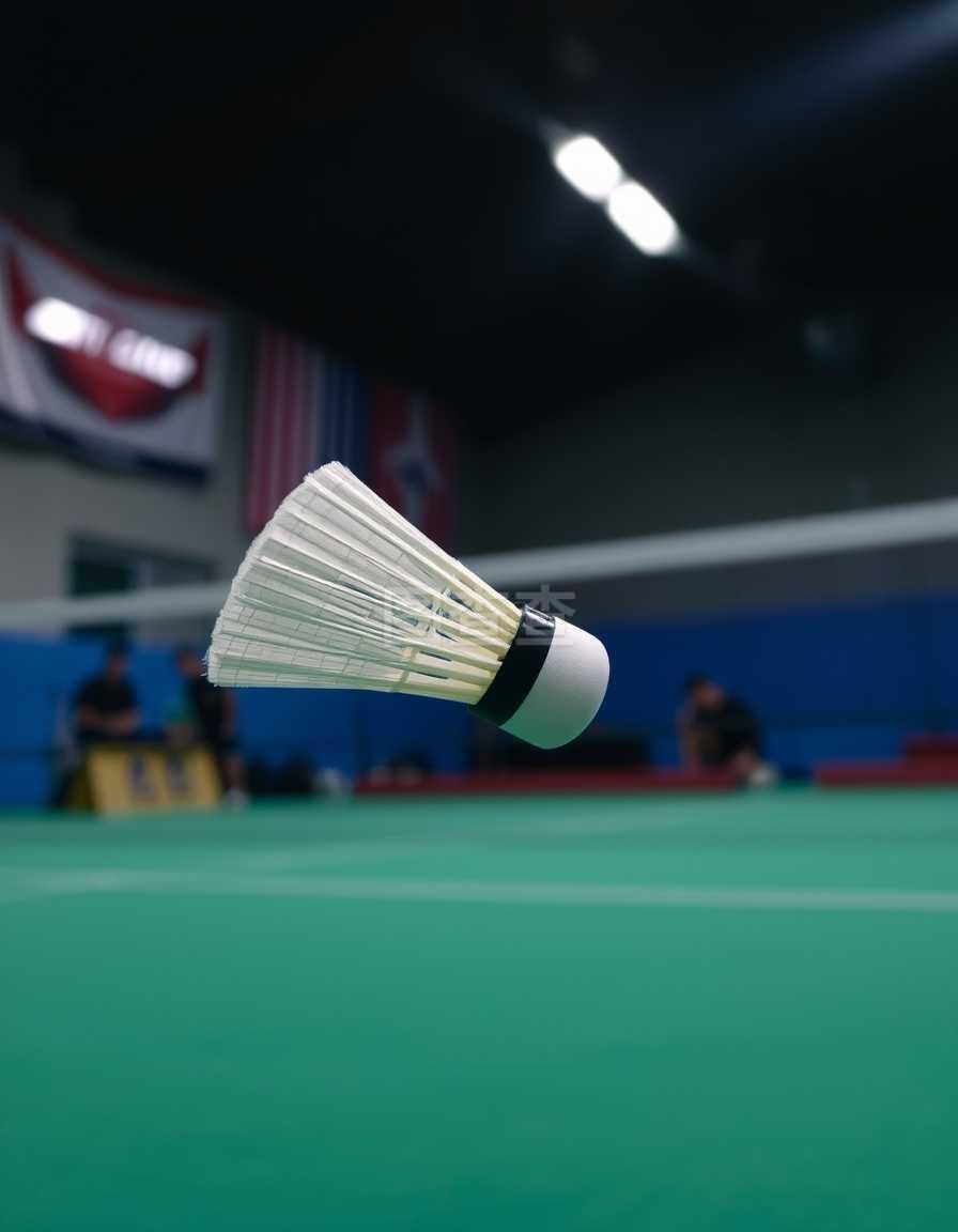 将目光聚集 将目光聚集