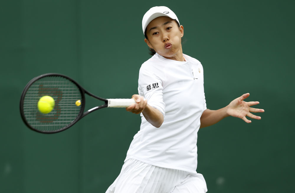 米体评价 米体评价